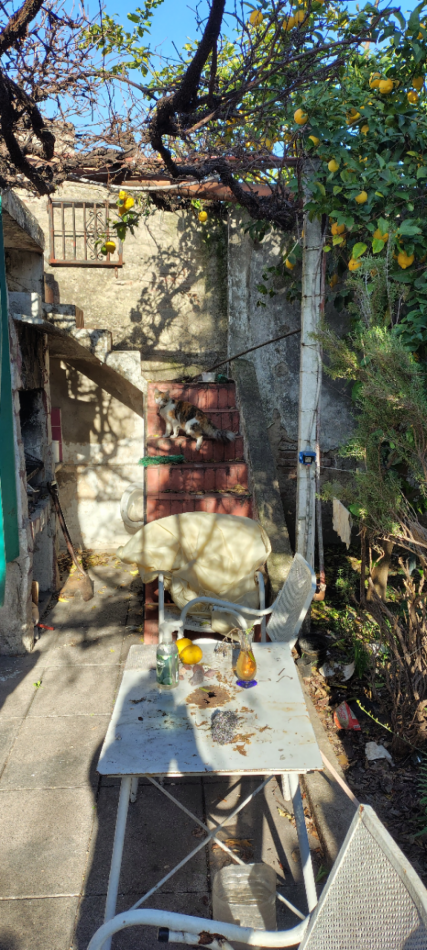 CASA A RECICLAR